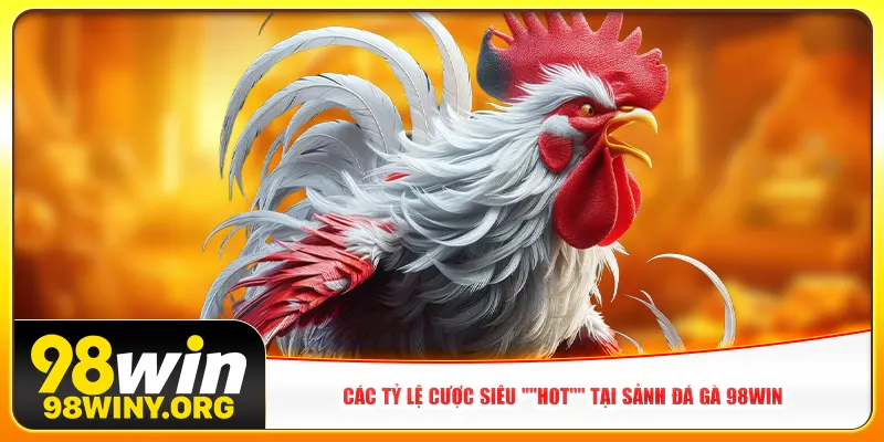 Các tỷ lệ cược siêu "HOT" tại sảnh đá gà 98win