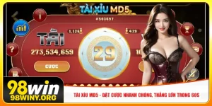 tai-xiu-md5-dat-cuoc-nhanh-chong-thang-lon-trong-60s